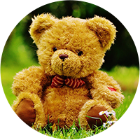 Managing-Conflict-Teddy-Bear